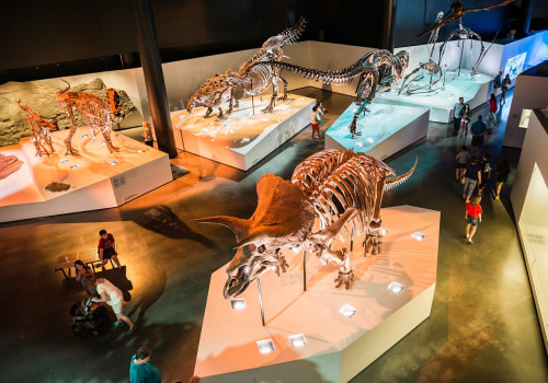 Exploring the Most Visited Art Attractions in Harris County, Texas
